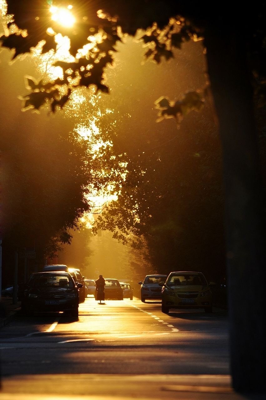 这种光影图看一百遍都不腻