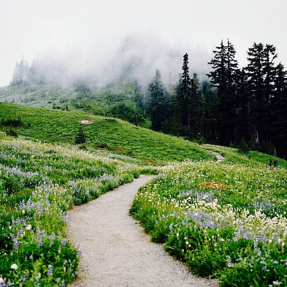 山间小路与清晨的浓雾,这个场景真的很美