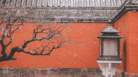 故宫雪景动态图图片