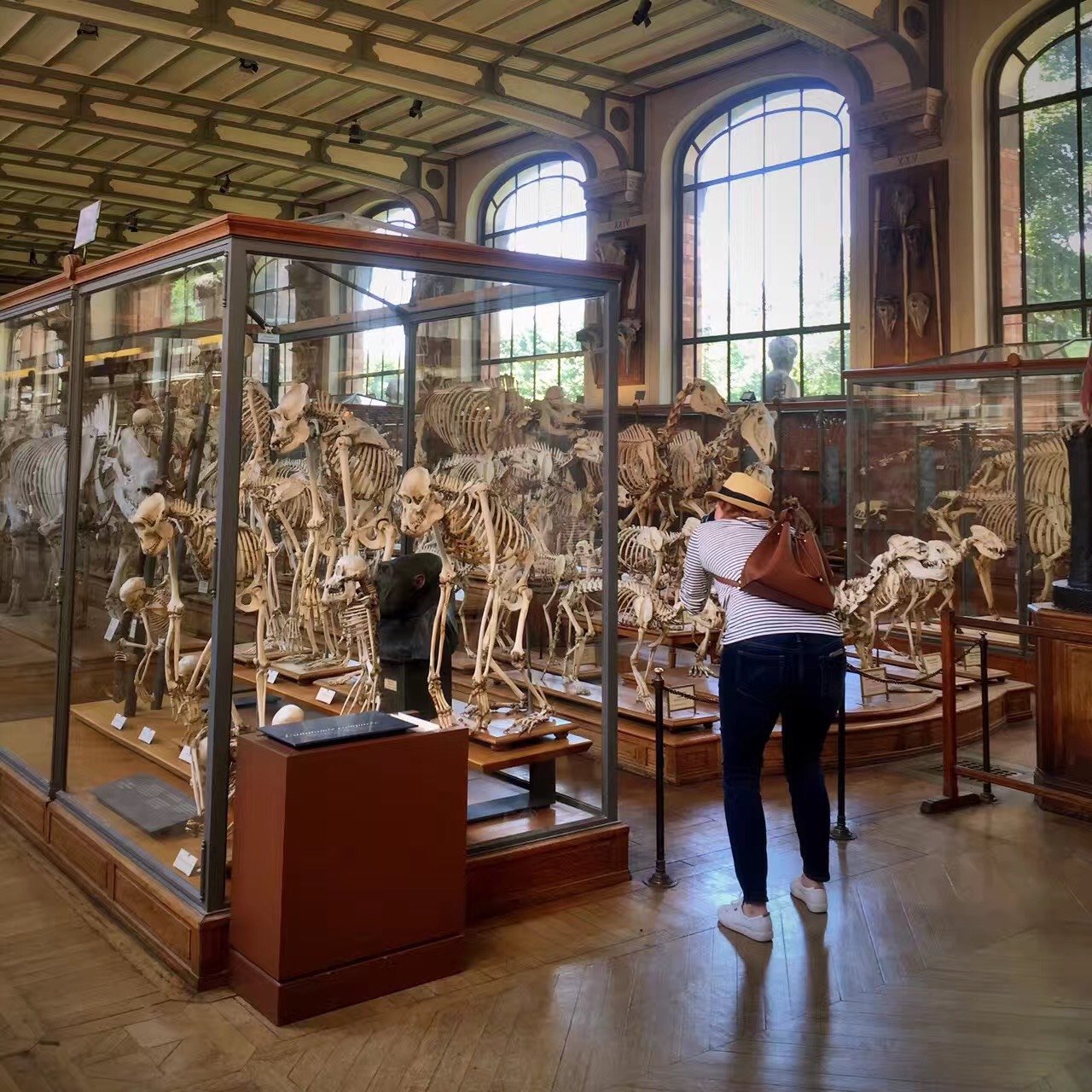 巴黎04自然历史博物馆