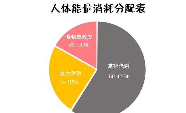 基础代谢最为强大,约占了人体总热量消耗的60-65%,体力活动约占总热量