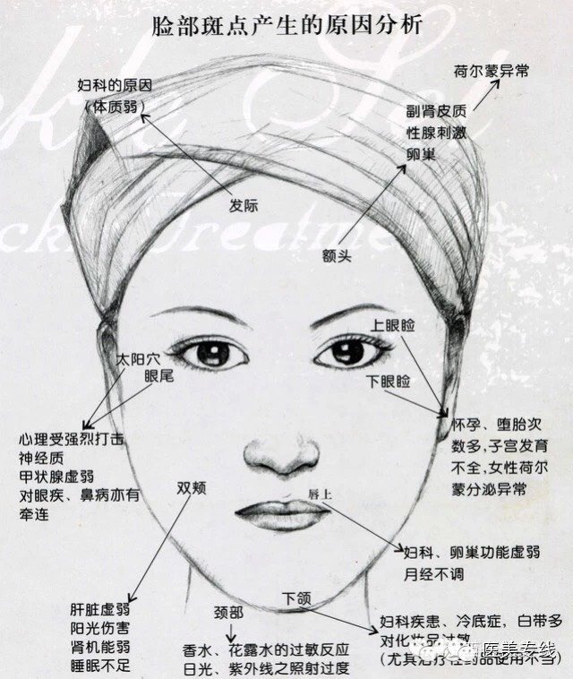 面部皮肤剖析
