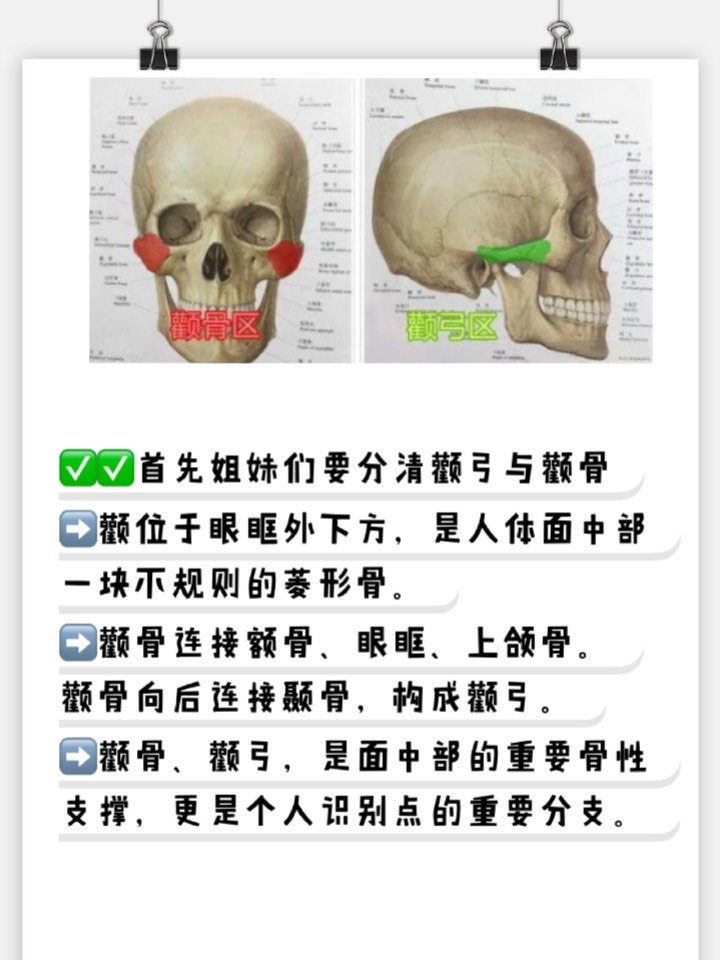 颧弓?颧骨?哪个才是拉低颜值的"罪魁祸首"