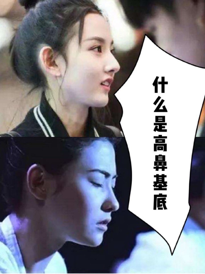 什么是高鼻基底什么是低鼻基底