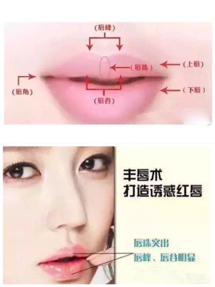 一个性感的大嘴美女永远不会过时. 上唇的唇红线呈弓形称为唇弓.