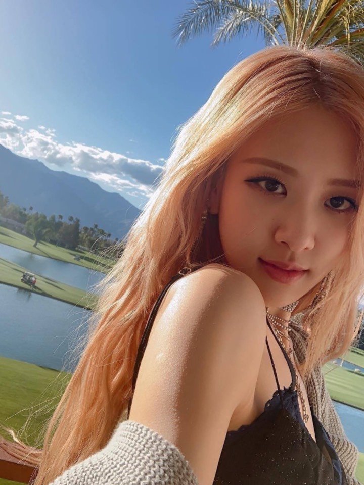 92blackpink的rosé,一个连头发丝儿都能_圈子-新氧美容整形