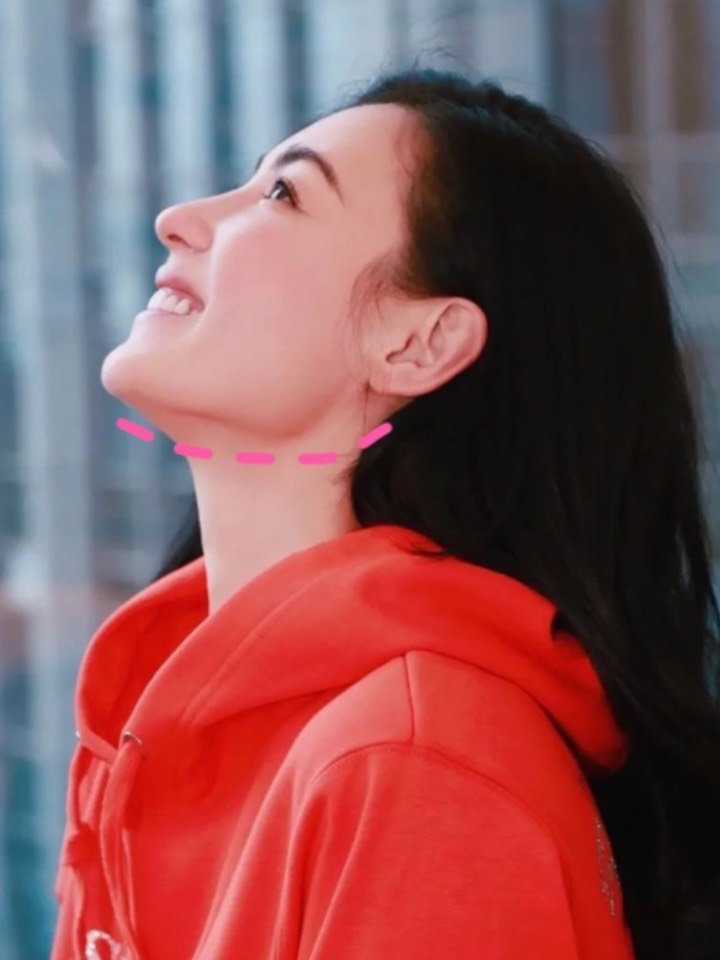 下颌线就是我们从侧面看我们脸部的时候,经过我们下颌缘的那一条弧线.