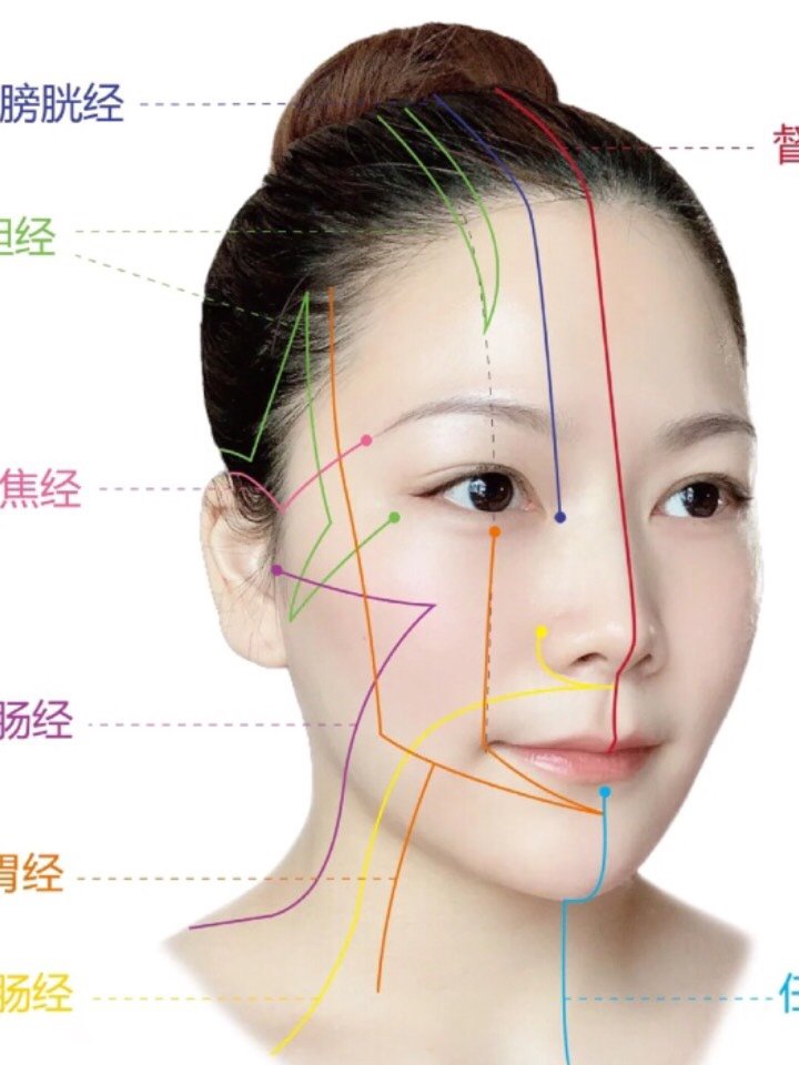 建议收藏!头部常见经脉|美容养生刮痧拨筋