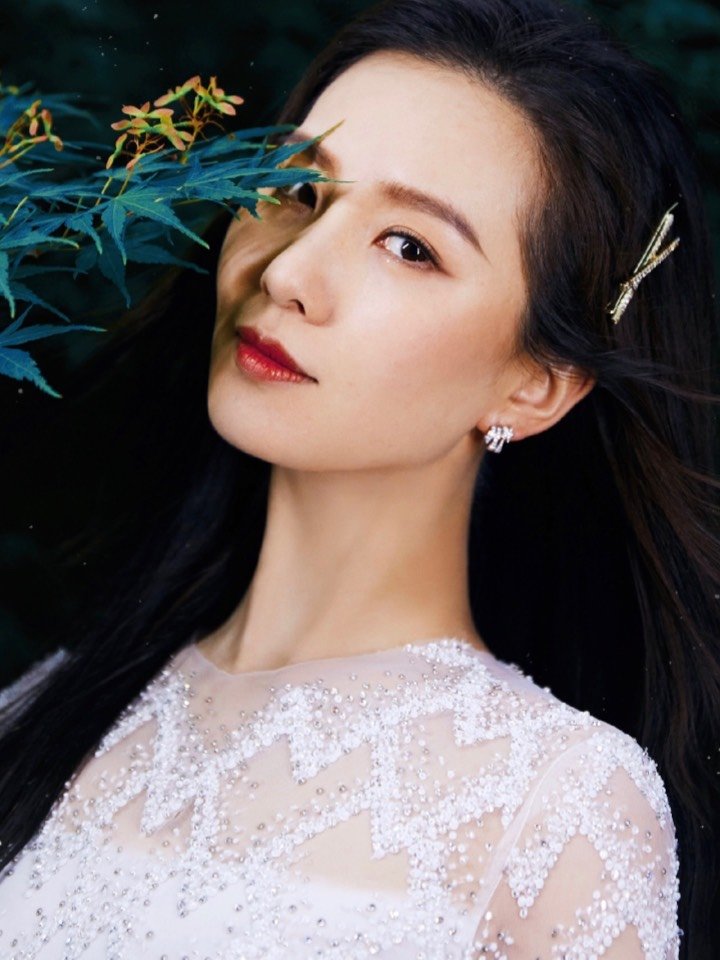 娱乐圈很多女明星不仅有和刘诗诗神似的地方,而且连普通路人都会有