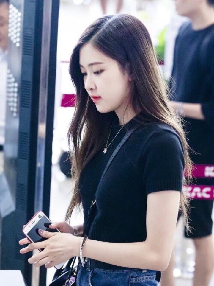 澳洲小玫瑰rose的美丽揭秘!