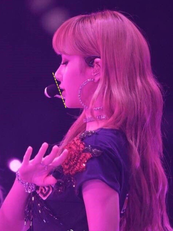 看到4人的合照才发现lisa绝对是blackpink中辨识度最高的