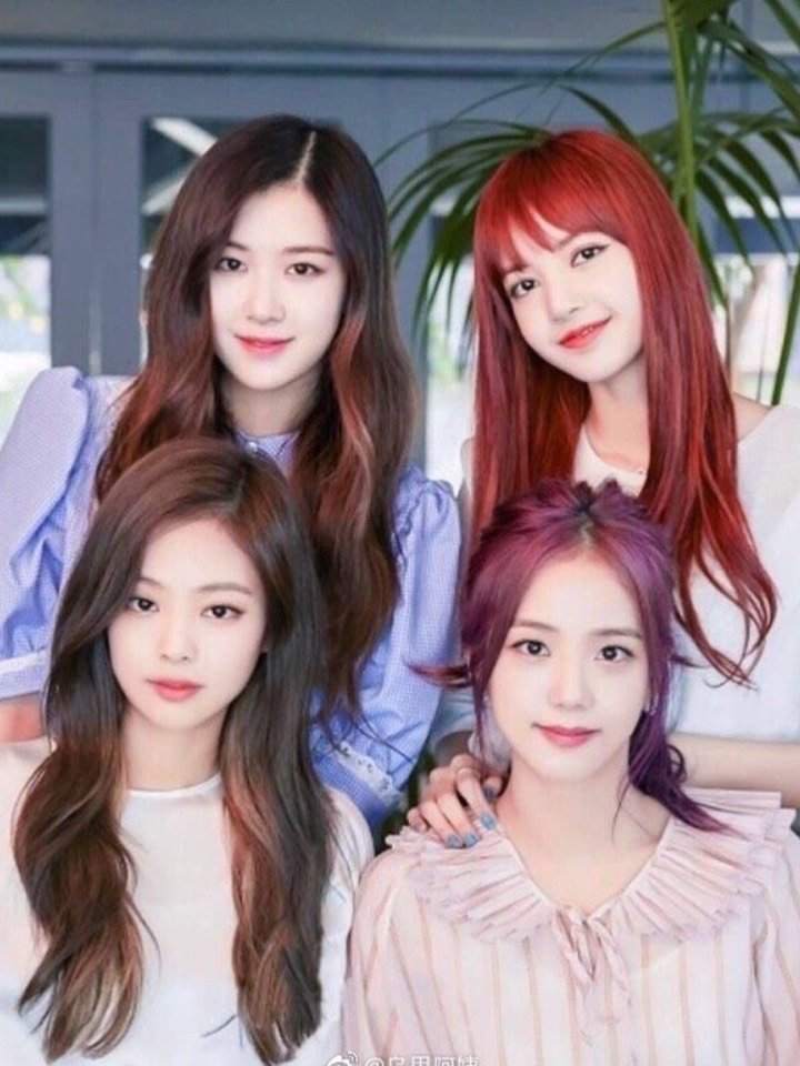 看到4人的合照才发现lisa绝对是blackpink中辨识度最高的