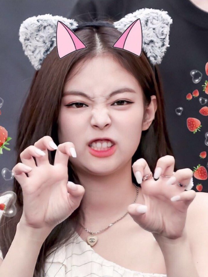 猫系奶凶脸jennie