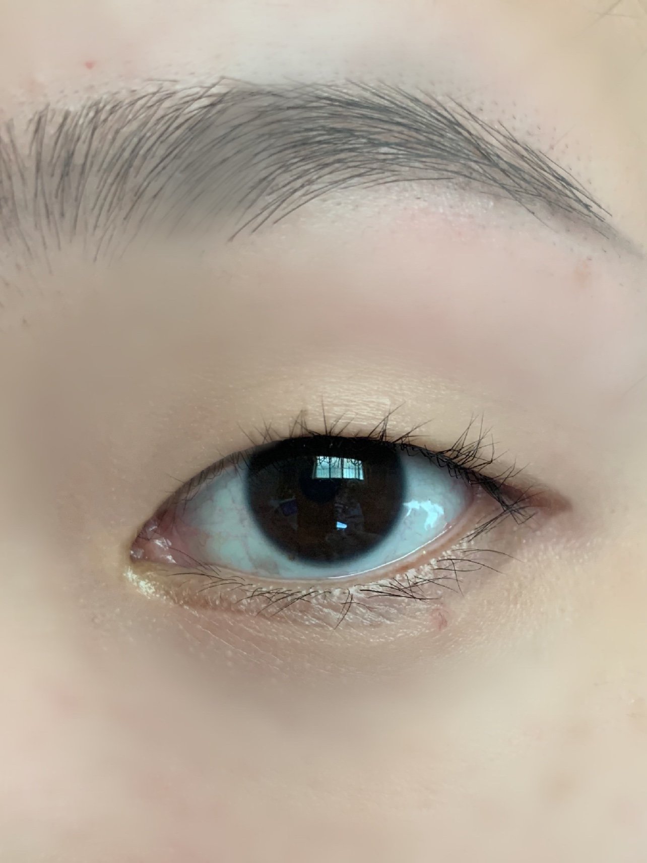 单眼皮肿眼泡的大眼太阳花睫毛秘籍!