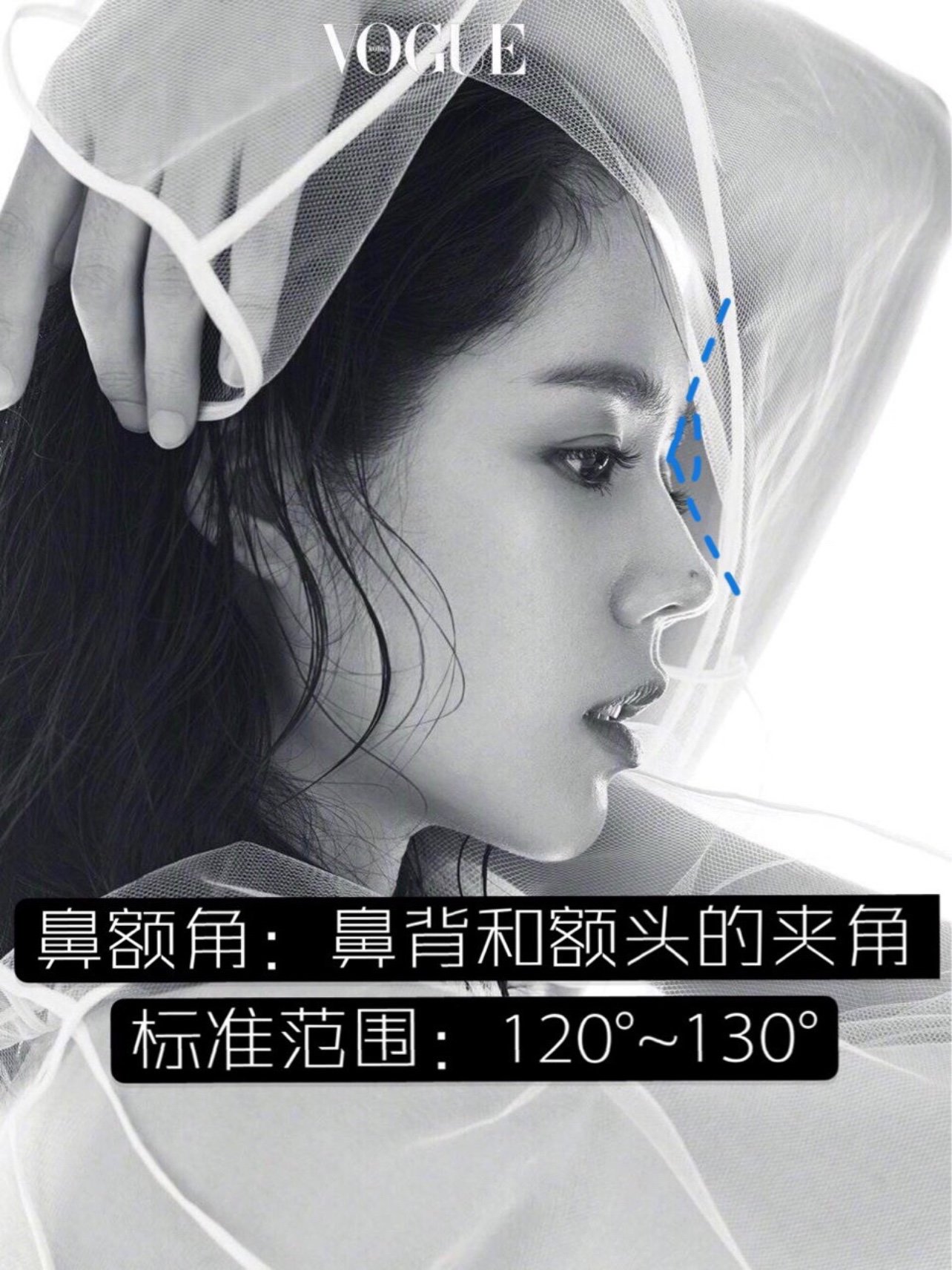 鼻部美学78你的鼻子好不好看