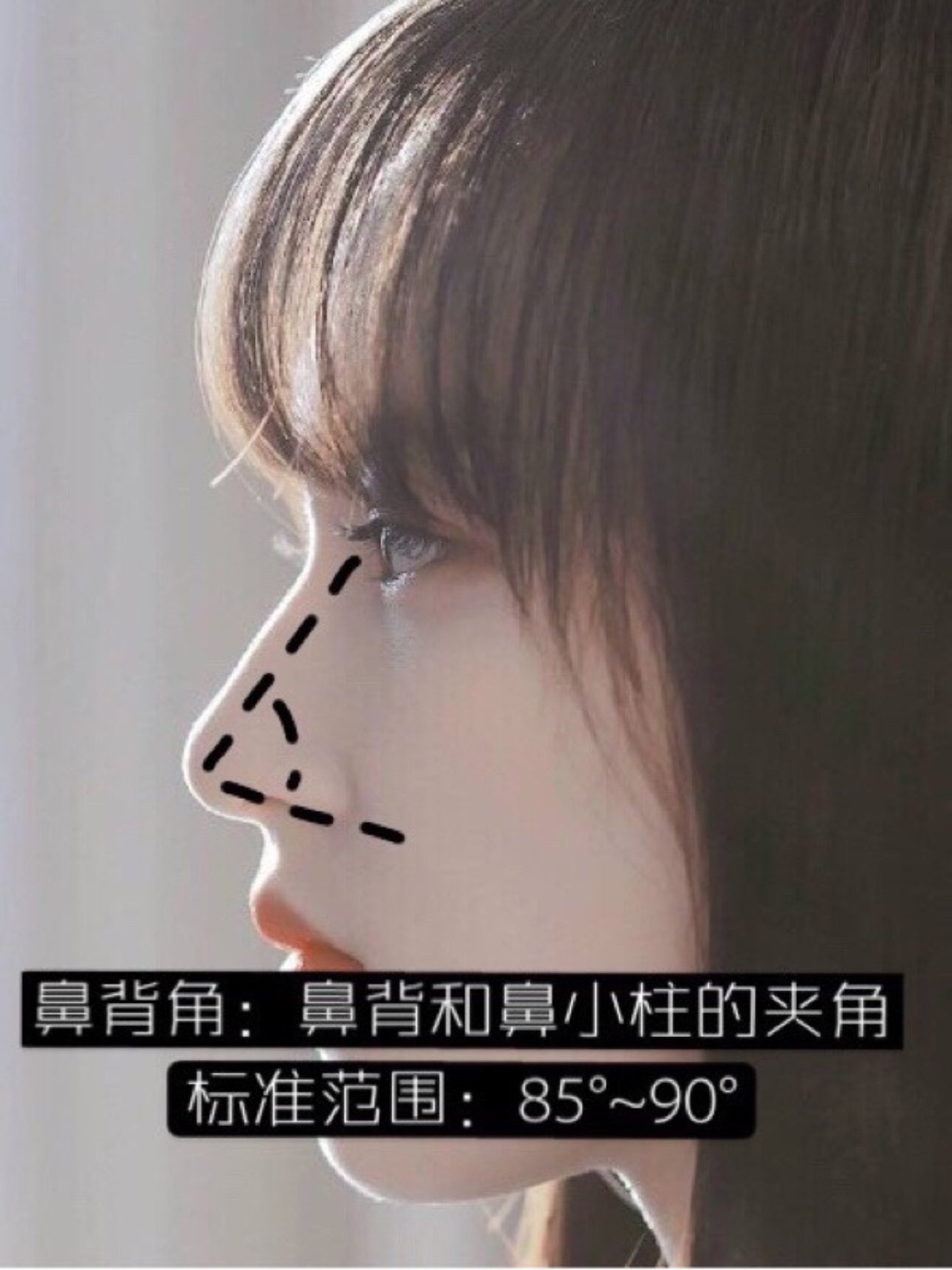 鼻部美学你的鼻子好不好看?