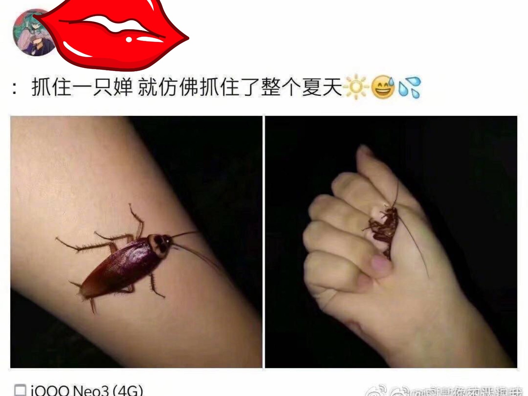 抓住了夏天