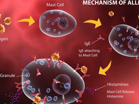 姐妹来取经,备孕6个月成功经验分享,孕初期注意什么