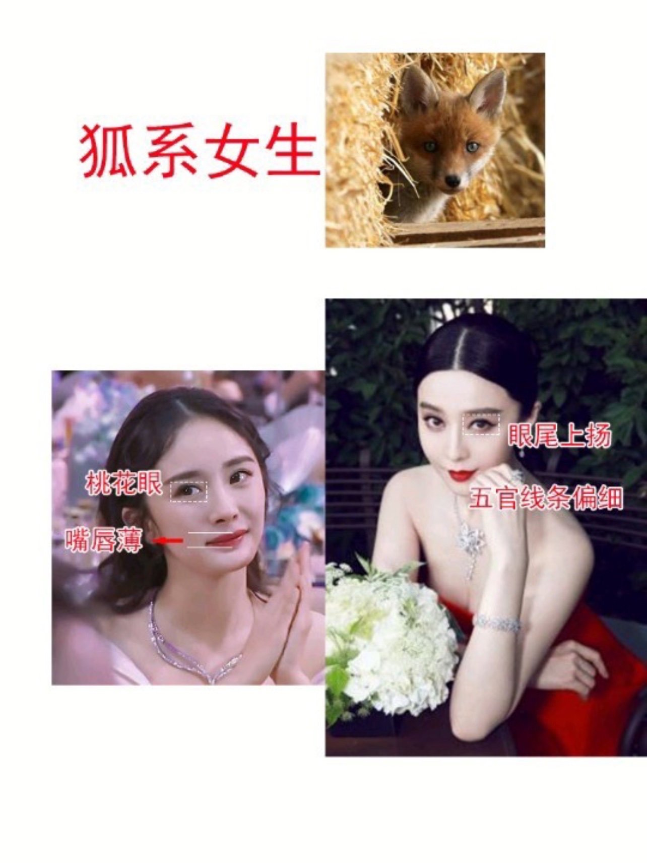 狐狸冷艳魅惑,它们也分别对应着不同类型的女生,不仅是性格,连长相也