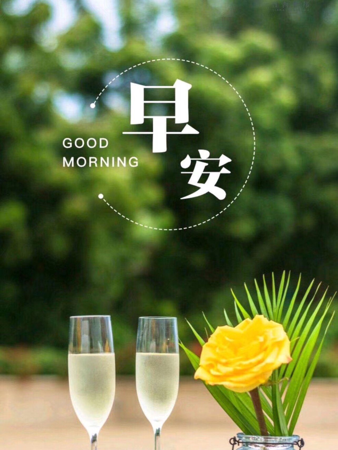 good morning