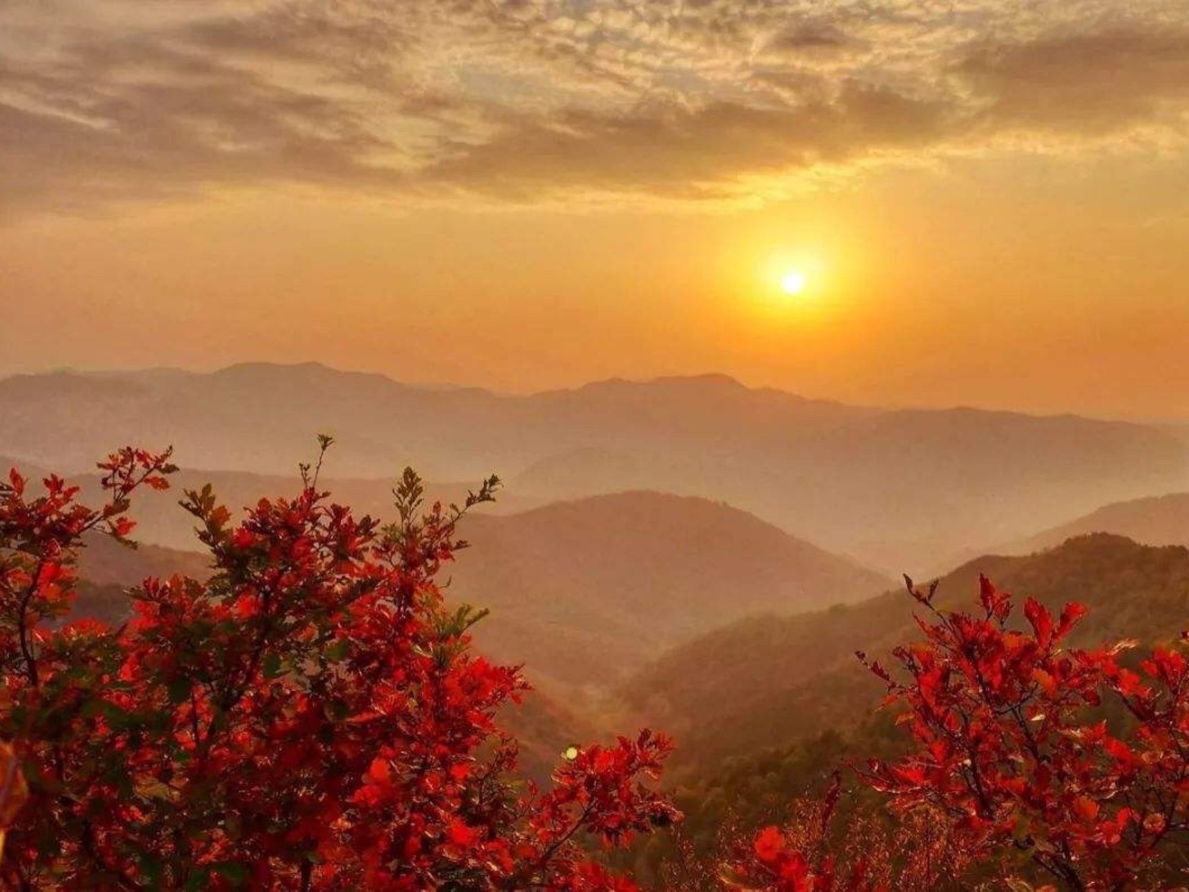 秋日美景最是诗情画意