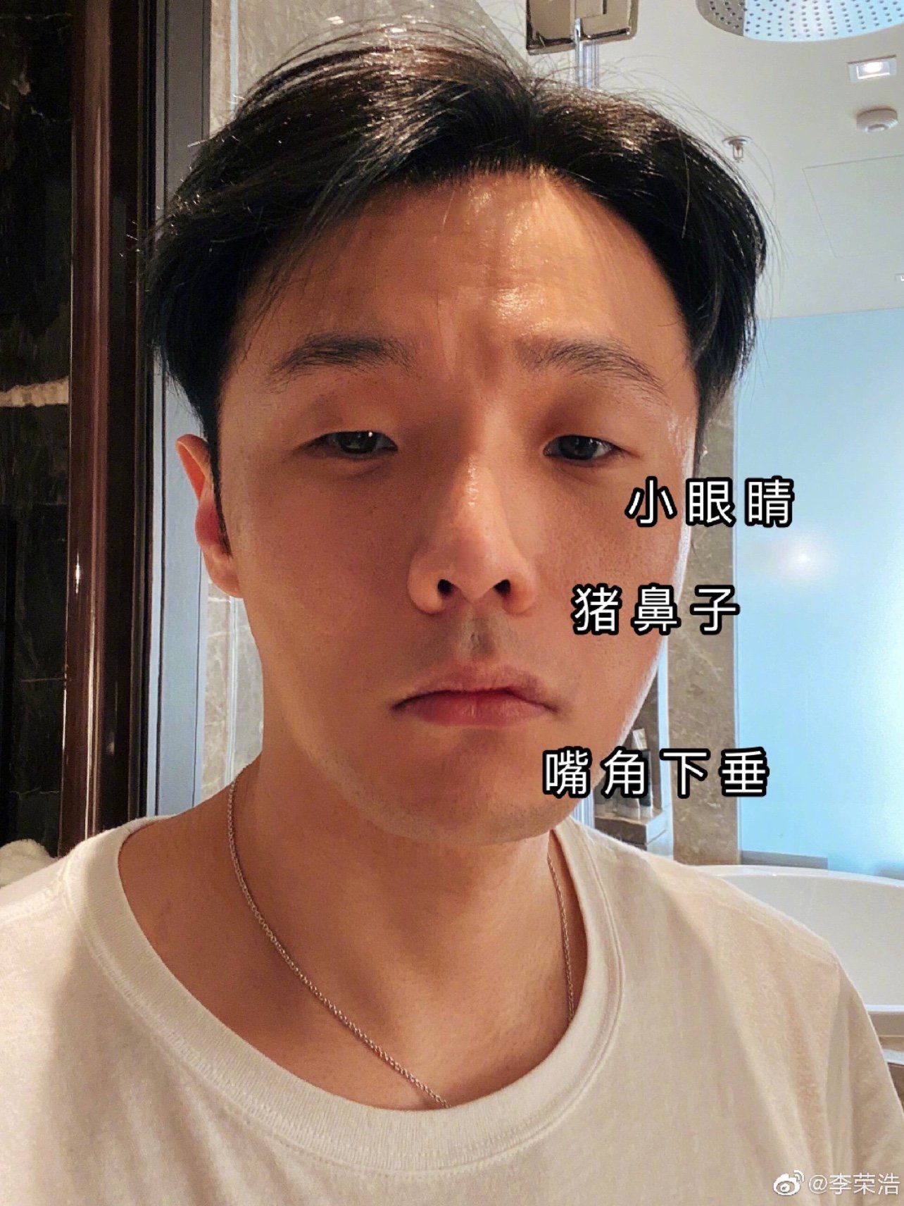 "明星圈"逆天换头大赏