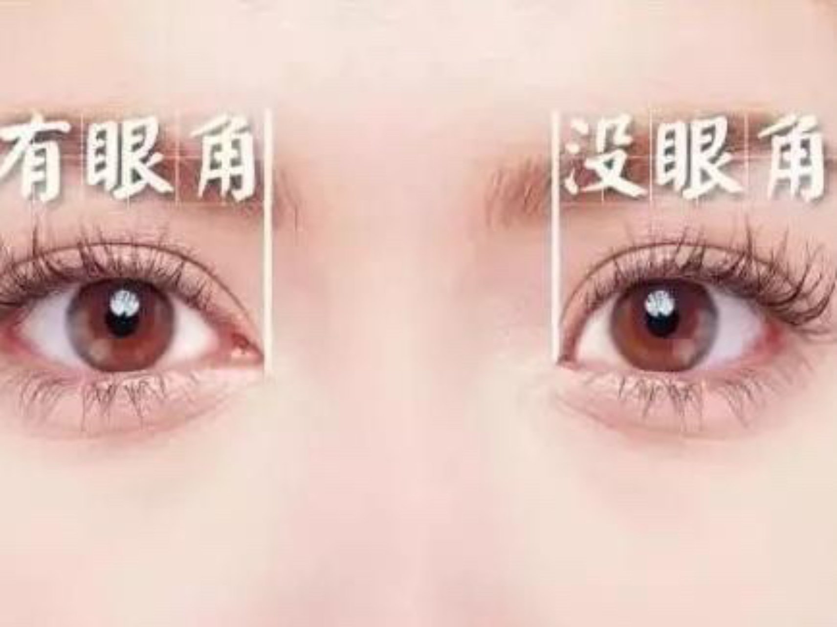 深空之眼角色强度排行|深空之眼角色2022最新实力排行