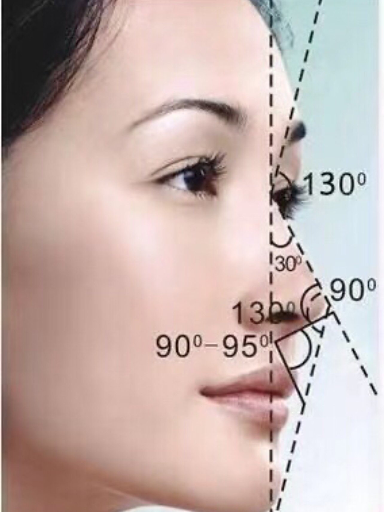 鼻子,自古就有"颜面之王"的美_圈子-新氧美容整形