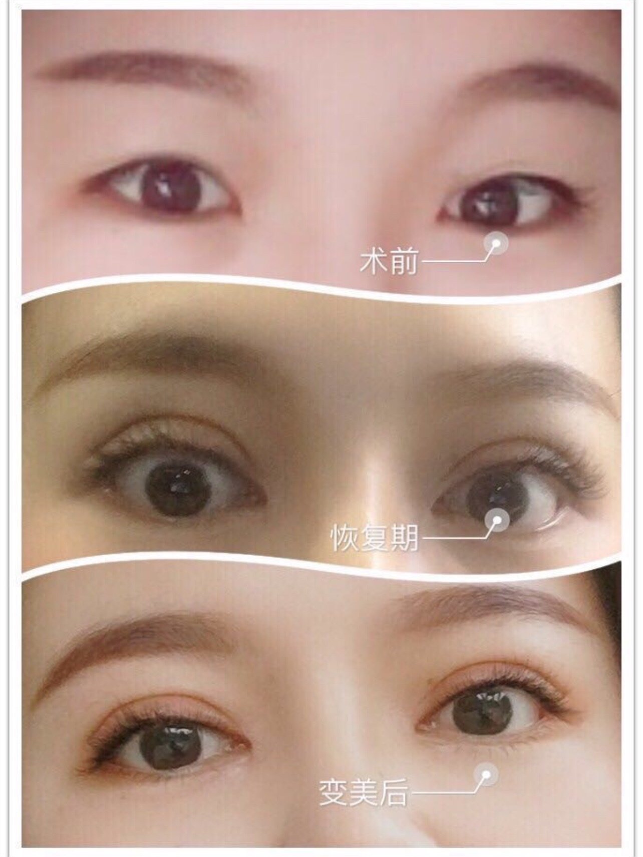 直觉就是眼睛看上去有点小.