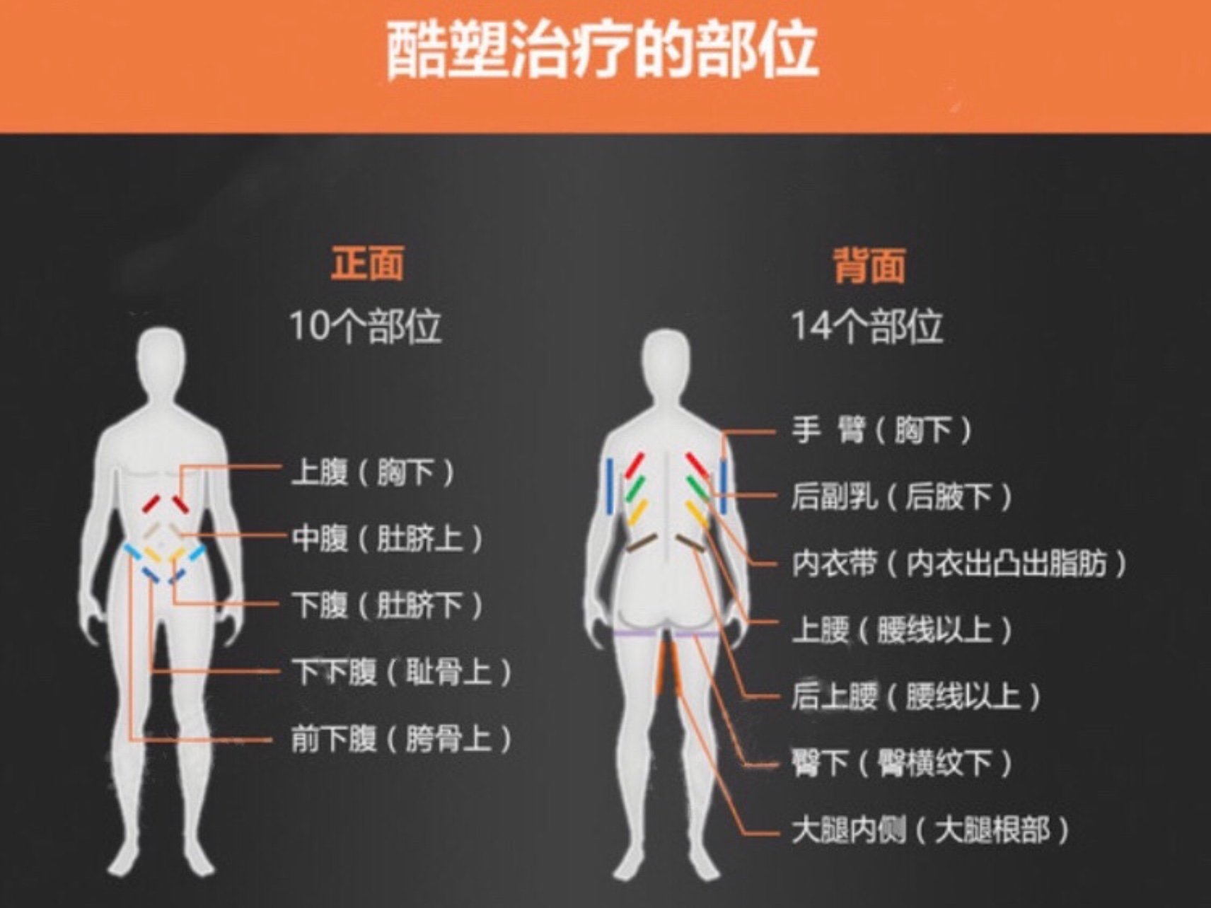 肚子溶脂针画点图图片