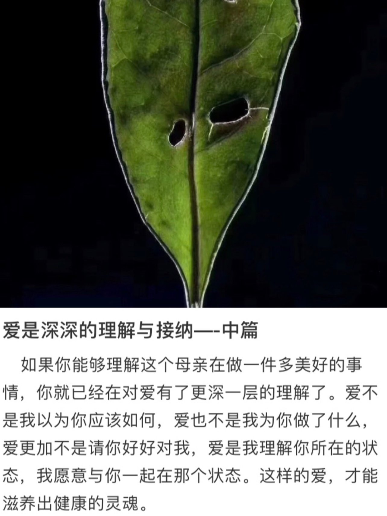 爱是深深的理解与接纳