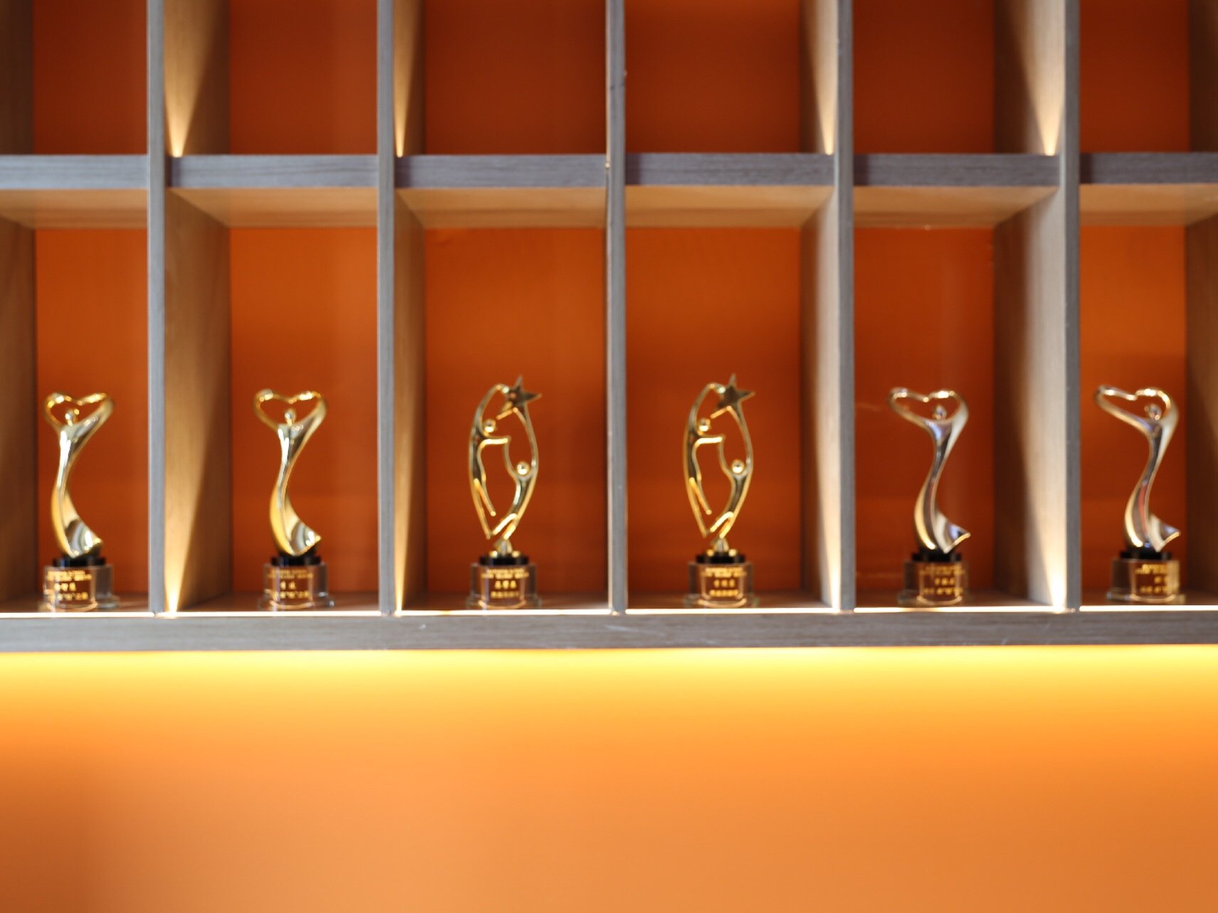 第二届意大利悦升线线雕大赛曾院获得银奖