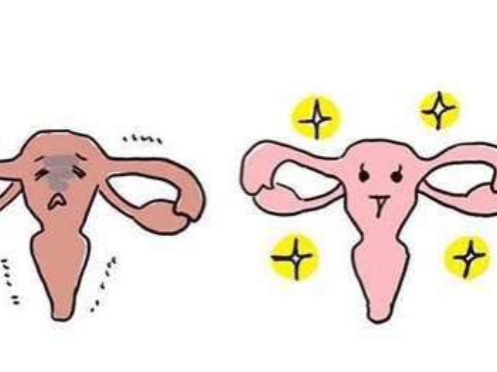 很多人都说四十岁的女人是"黄脸婆"