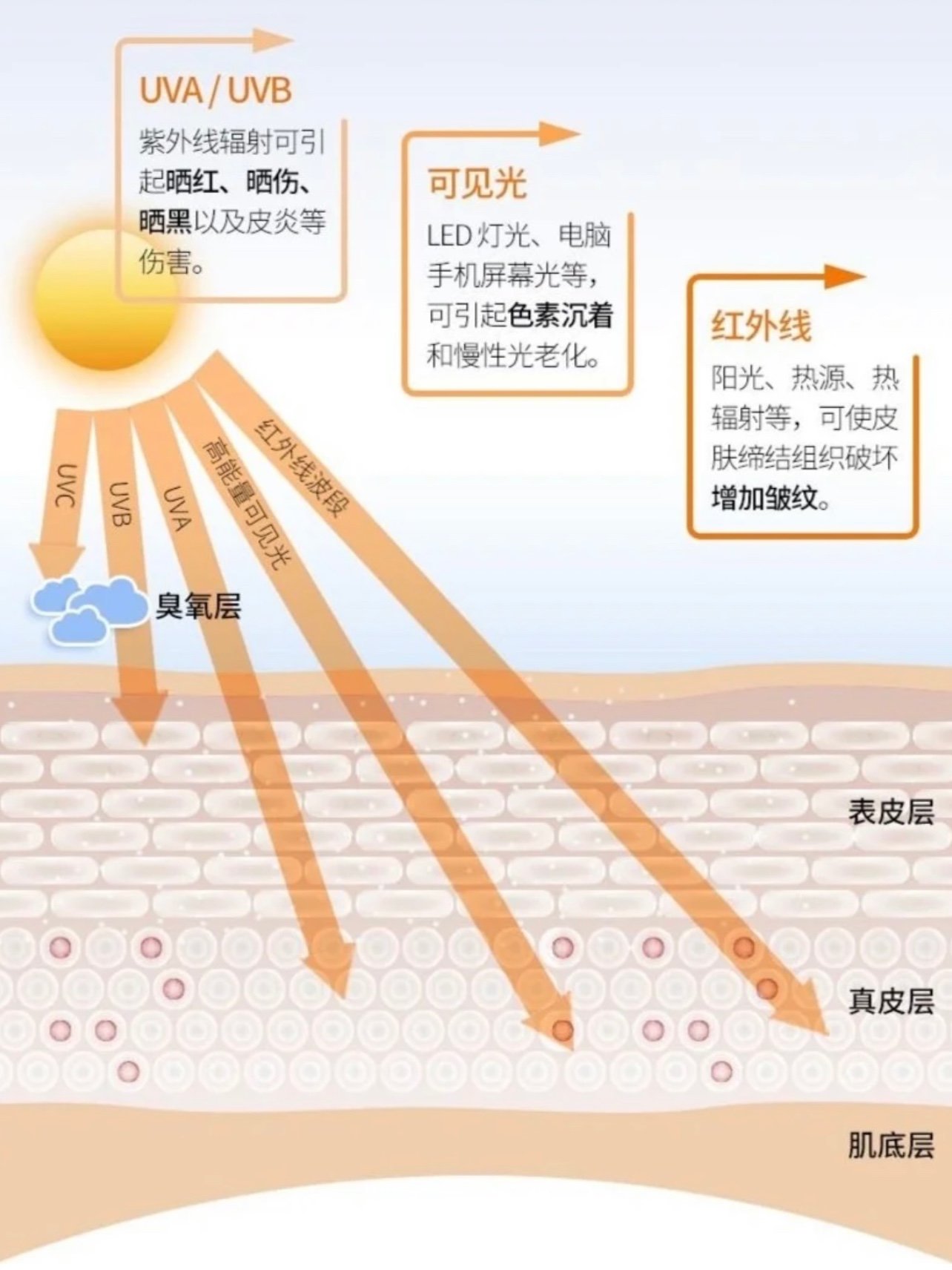 英诺新产品抗晒素多维改善光老化