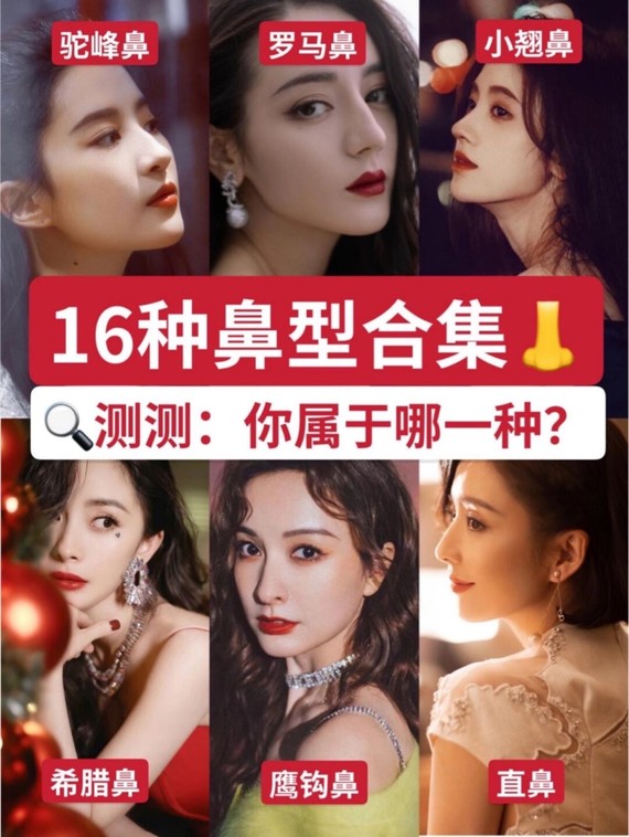 97【科普时间】9716种常见鼻型大盘点91你属于哪一种_圈子-新氧