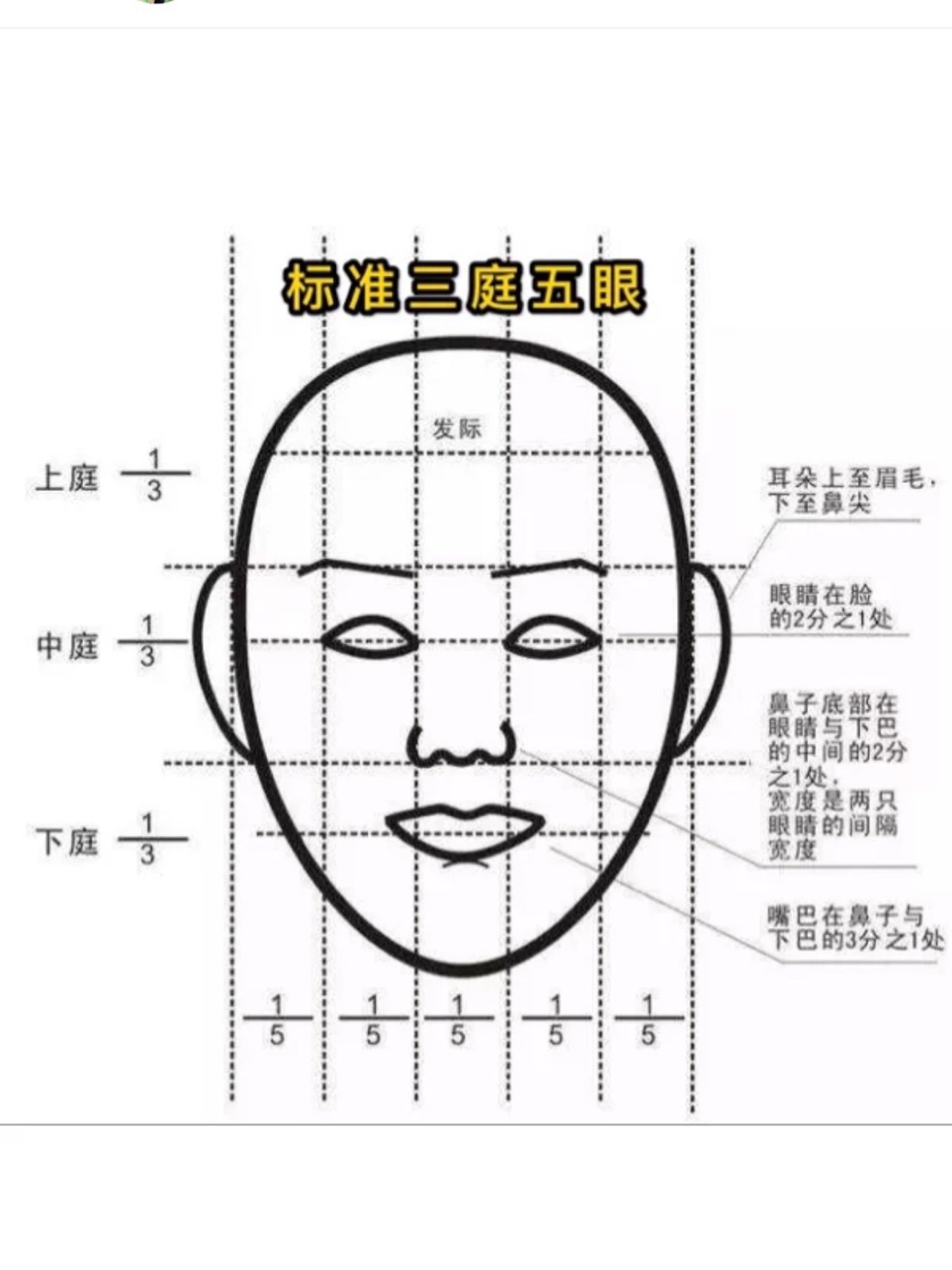 原相機也能測三庭五眼快來試試看