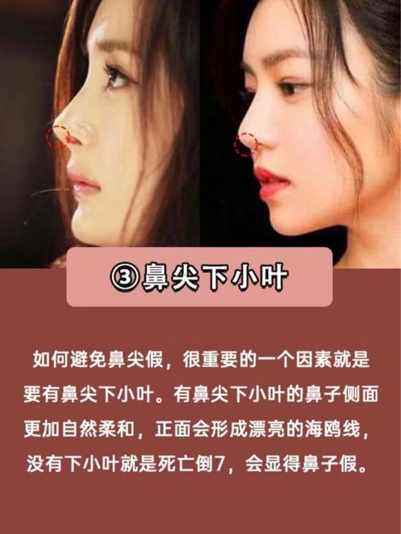 自测6015直鼻vs小翘鼻,哪种更适合你?