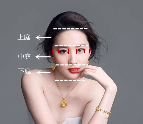 刘亦菲脸型分析图图片