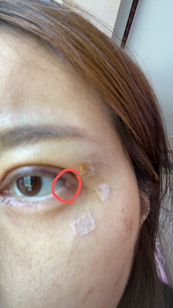 张朝蕾给我做的