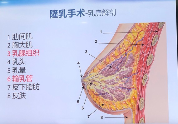 亲爱的,可以选择假体隆胸,也可以选择自体_圈子-新氧美容整形