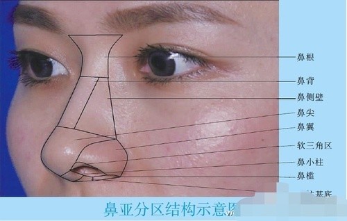 忍不住再来一发,那些年你们疯狂追逐的鼻整形-新氧圈子