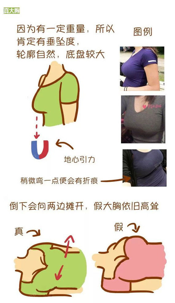3招!教你分辨真假大胸