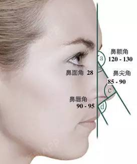 东方人理想的鼻额角角度约为120