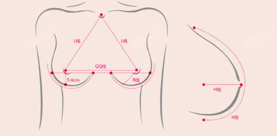 1,r线:乳房基底半径线(乳房在胸壁最大底盘半径)r线,乳房形态五大黄金