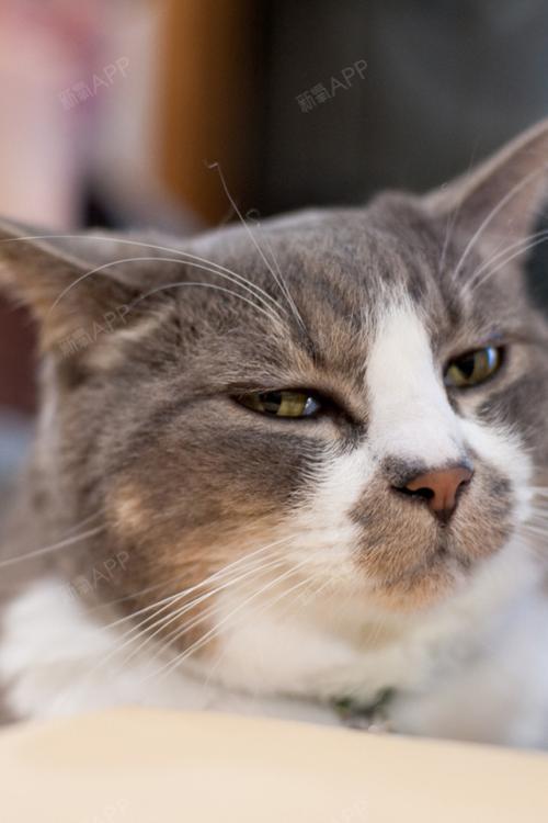 上海激光紧缩阴道好不好_效果图_大圣aa激光紧缩阴道