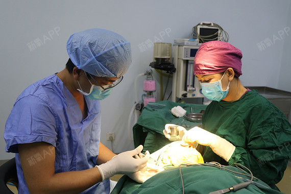 鼻部整形手术并不会让鼻子变得脆弱,(_圈子-新氧美容整形