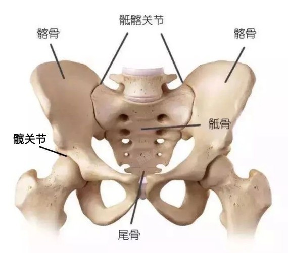 新氧