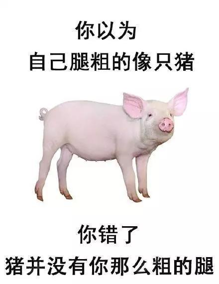"火腿成精了.