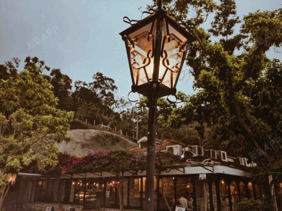 阴茎增大好不好_效果图_加菲猫的倔强阴茎增大术后第90天_新氧美容