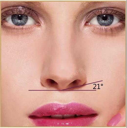 干货|鼻部美学标准正文鼻整形讲究完善鼻子与面部五官_圈子-新氧美容